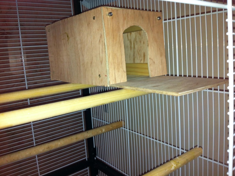 La cage de kiwi qu'en pensez-vous ? Cage_f12