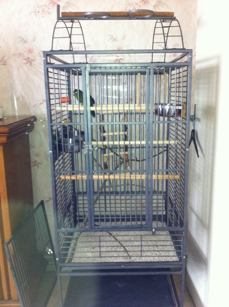 La cage de kiwi qu'en pensez-vous ? Kiwi_010