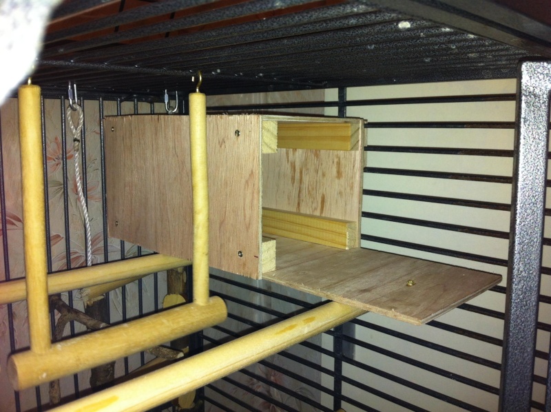 La cage de kiwi qu'en pensez-vous ? Kiwi_c10