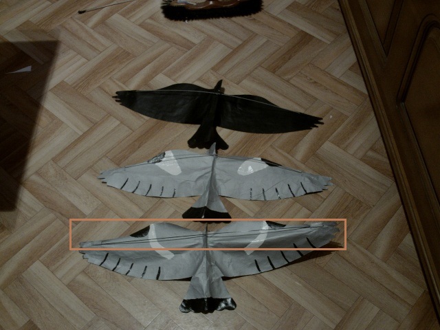 cerf volant pour la chasse au pigeon - Page 6 0041010