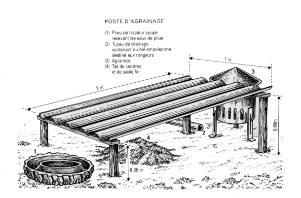 Comment faire pour reintroduire du faisan et de la perdrix. Abri11