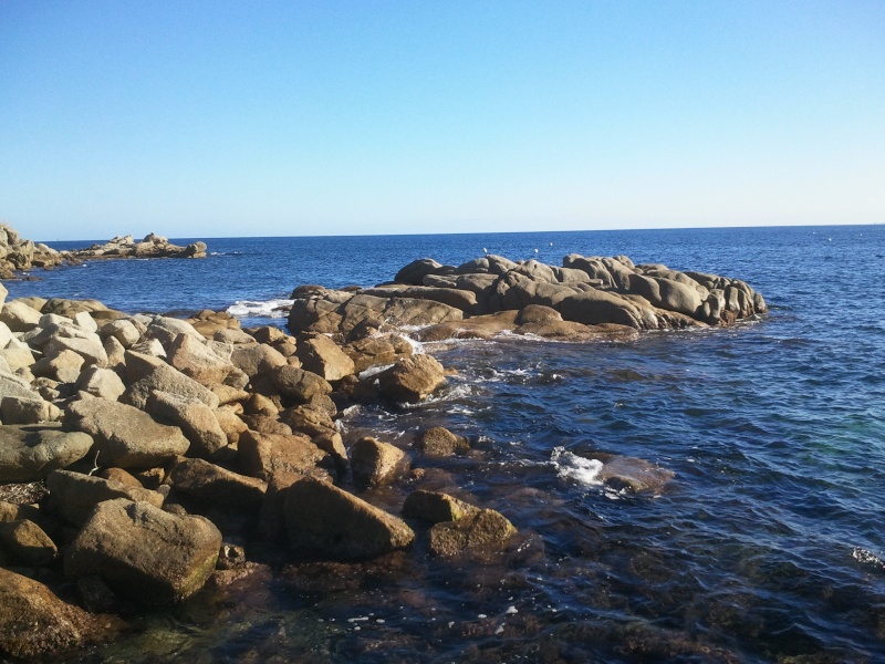 sortie en mer ( bateaux) Photo013