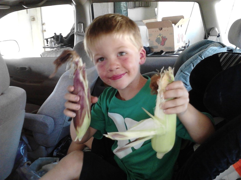 We have some corn! Curren10