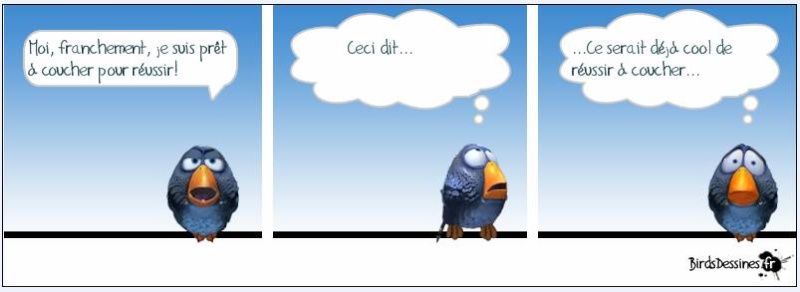 Les Birds Dessines Les Birds Dessines