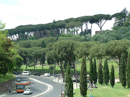السيمفونية الشعرية صنوبر روما   Pines of Rome     من مؤلفات اوتورينو رسبيجى   39300110