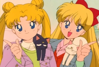 Debate: Is the fact that Sailor Moon and Venus's hair the same color a coindidence? Tumblr17