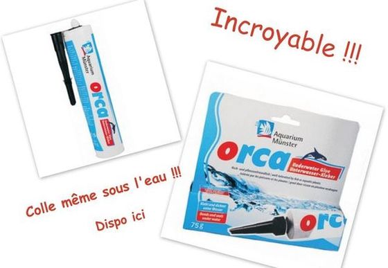 Colle orca  Orca10