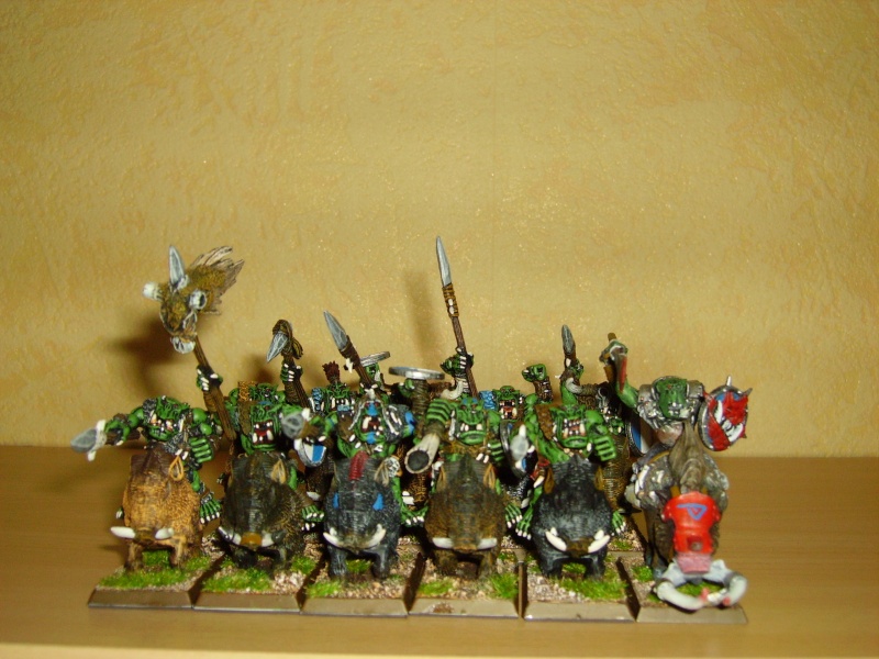 Vend figurines  Warhammer Battle Imgp0511