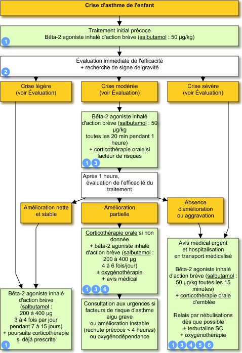 CAT.asthme de l'enfant. Ashtme10