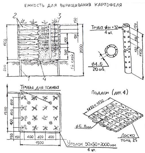 Картофель Dsdnnd10