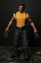 Wolverine Img_0813