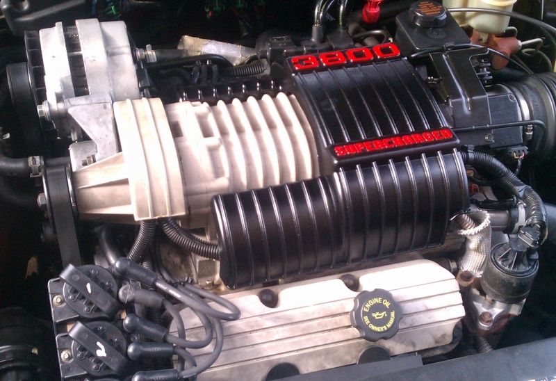 Engine bay paint Engine12