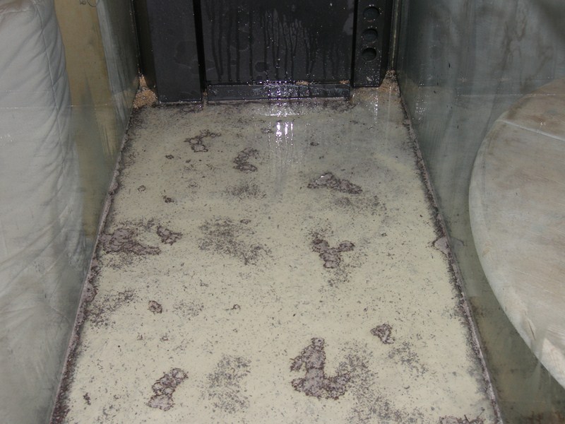 Installation de ma fishroom dans le salon Argile10