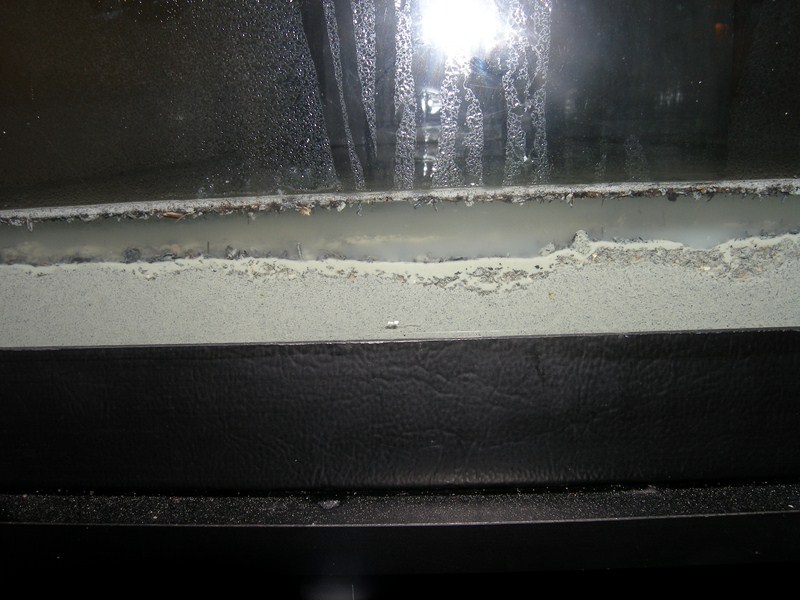 Installation de ma fishroom dans le salon Argile11