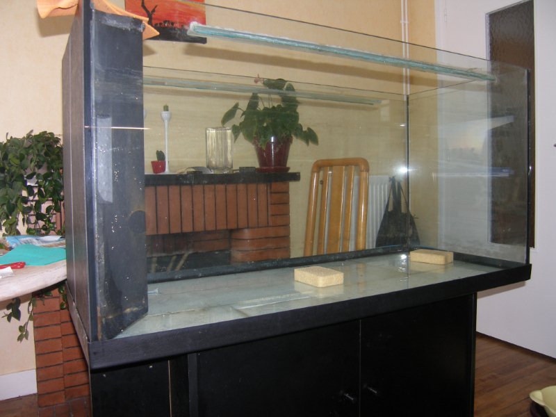 Installation de ma fishroom dans le salon P1010116