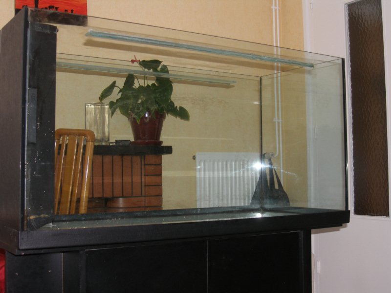 Installation de ma fishroom dans le salon P1010117