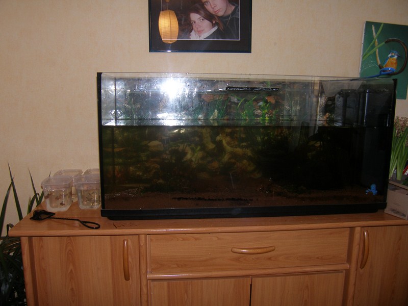 Installation de ma fishroom dans le salon Transf10