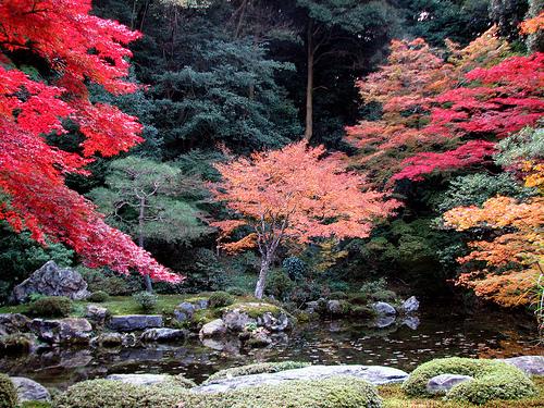 Déjà un petit air d'automne ... - Page 7 Kyoto-10