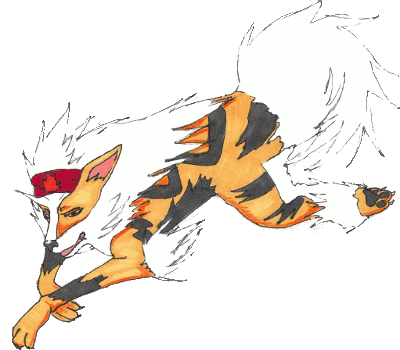 Xander the Arcanine(Verdanturf, Hoenn)  Arcani15