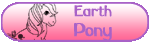 Poney de Terre Poney de Terre