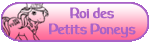 Roi des Poneys Administrateur Roi des Poneys Administrateur