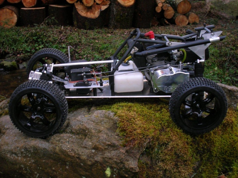 La beetle de Golum 1_11910