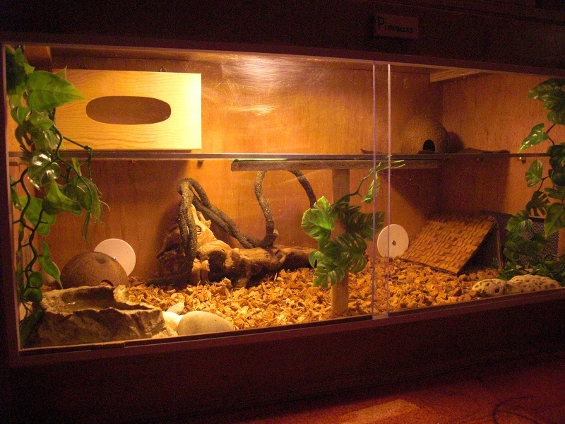 Terrarium Artisanal