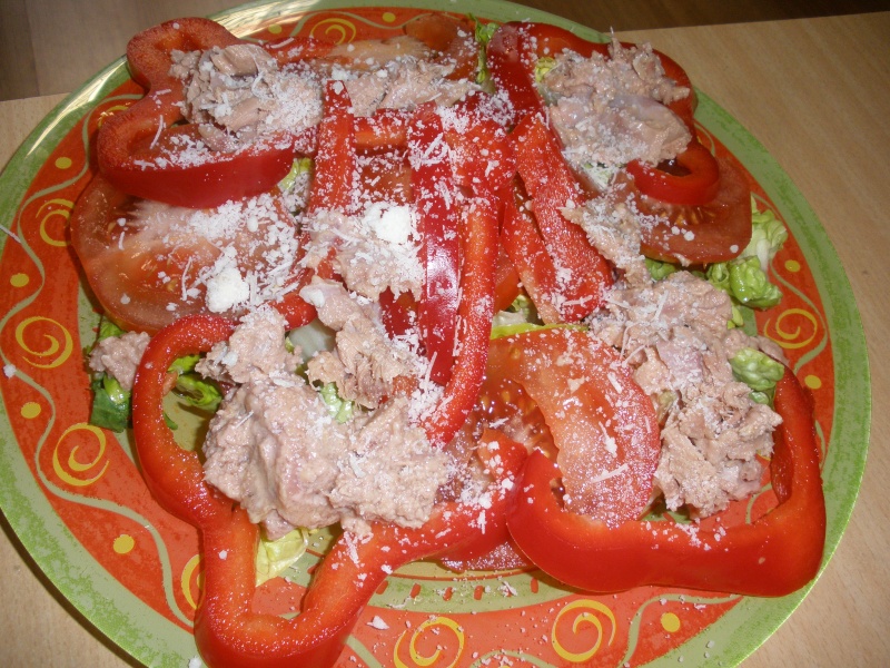 salade de poivron rouge et de thon P4020110