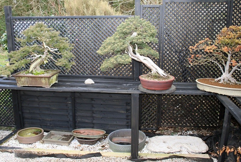 Bonsai stands and tables - Page 2 01515