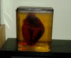 Heart storage Images10