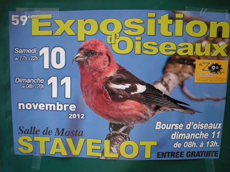 59 ième Exposition bourse d'oiseaux salle de masta  STAVELOT Clcc_210