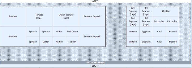 Help! New SFG - feedback on my plan please??? Garden10