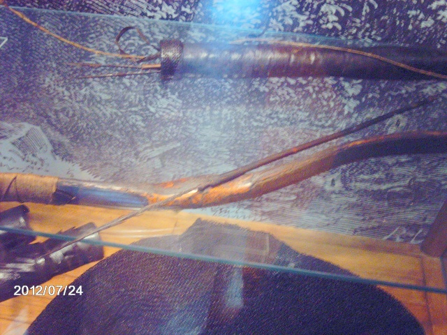 Arc de corn la Muzeul Judetean  Img_0415
