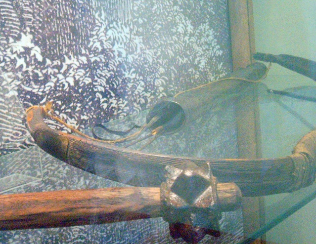 Arc de corn la Muzeul Judetean  Img_0418