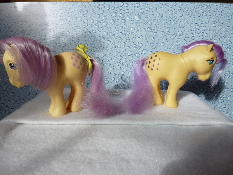 Mes p'tits poneys G1^^  - Page 2 P1030270