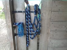 LICOL bleu clair et foncé taille petit arabe double poney neuf Licol_10