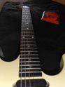 Help to find out the model of this Westone guitar Neck12