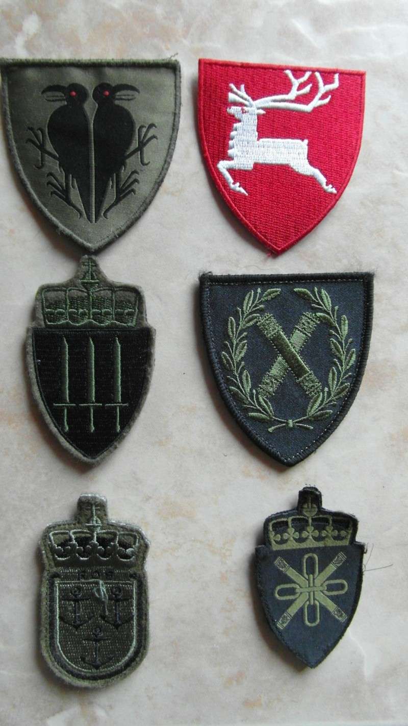 Need Help to ID patches Sam_1411