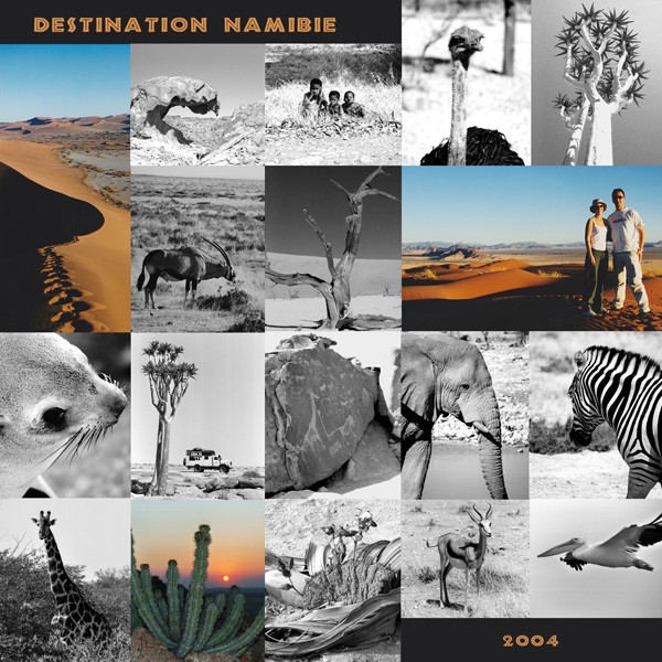 Challenge Visiteurs du 1er au 15 avril 2012 - Page 3 Namibi10