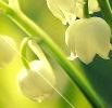 Không có bài viết mới Không có bài viết mới
