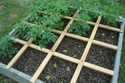 Spring 2012! Dsc05517