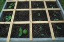 Spring 2012! Dsc05519