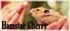 Hamster-Cherry ?  Bouton10