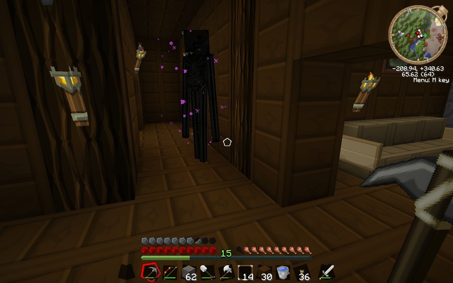 enderman get the FUCK out of my house 2012-019