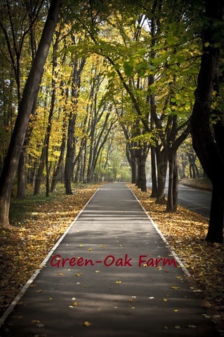 Green-Oak Farm  Green_11