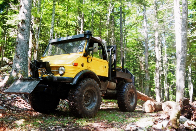 unimog mb-trac wf-trac pour utilisation forestière dans le monde - Page 19 Imm00910