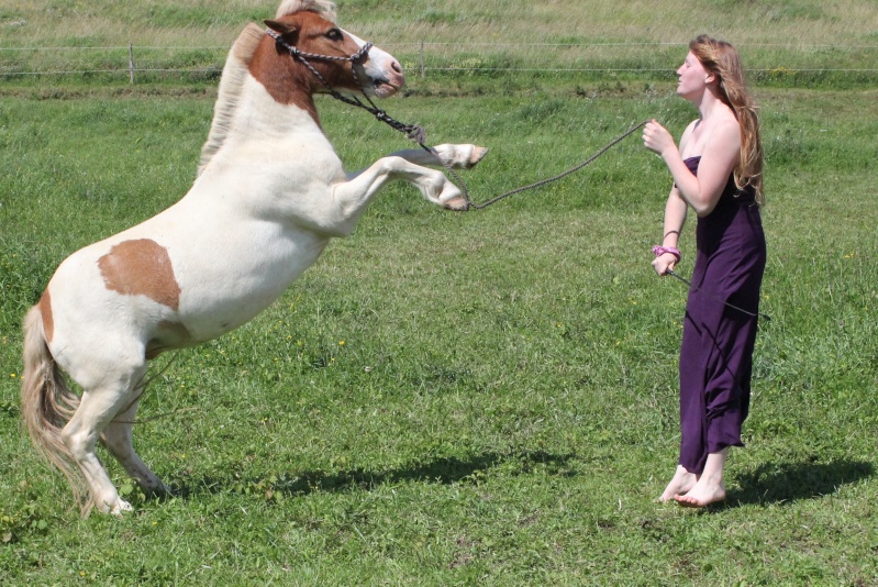 Un peu de moi, mes chevaux et mes bêtises  Robe_p25