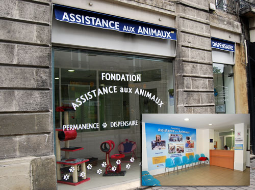 Fondation Assistance aux Animaux Dispen10