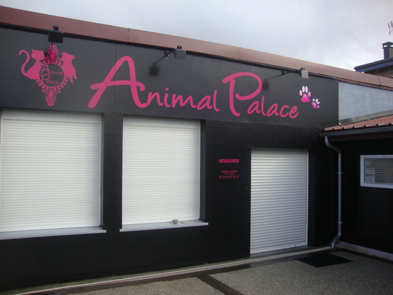 animation furet  "animal palace  Mrignac" - Page 3 Dsc06910