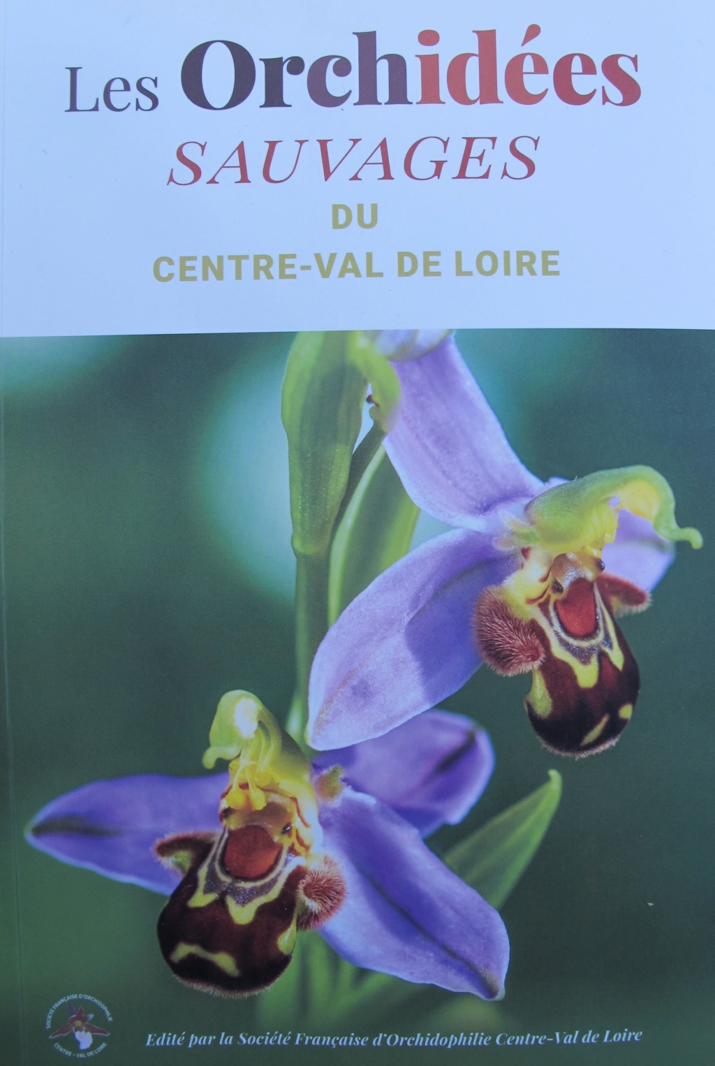 " Les orchidées sauvages du Centre-Val de Loire". Img_0013